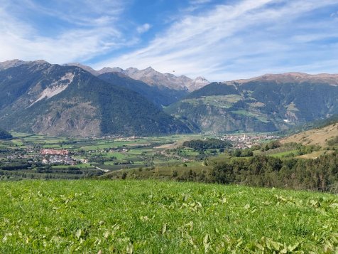 Vorschau