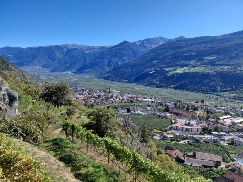 Vorschau